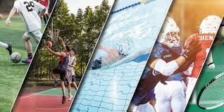 林子伟守位弹性分析