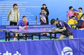 开赛：23队参与，16队进入正赛的2025卡塔尔阿拉伯杯